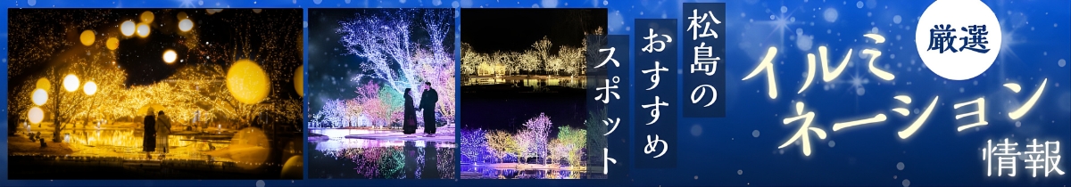 松島ハーバーライト2026 in 宮城県松島離宮