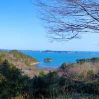 松島　扇谷